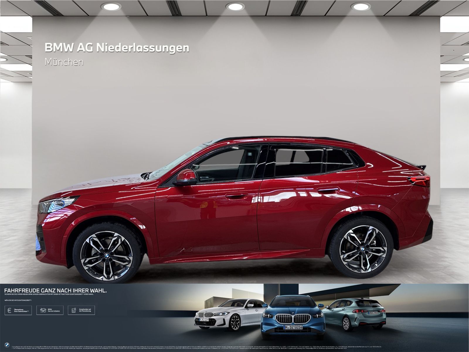 BMW X2 xDrive20d M Sport AHK Driv.Assist Harman K foto 2
