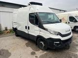 Iveco Daily Kühlkasten 35 S 160 - 86.000 Km *2019* - Iveco Daily 35S16