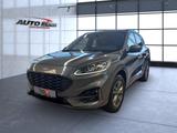 Ford Kuga Plug-In Hybrid ST-Line X Sportpaket Navi - Ford: Sport