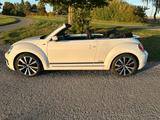 Volkswagen Beetle 1.4 TSI CUP Cabriolet CUP - VW Beetle von privat