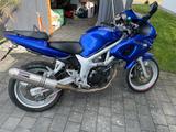 Suzuki SV 650 S mit Superbike-Umbau - 2001 SV650S