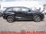 Lexus NX 300 h 2.5 E-Four - Lexus aus 2019