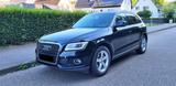 Audi Q5 2.0 TDI 110kW Navi Bi-Xenon Euro 5 - Audi Q5: Eu