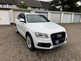 Audi Q5 3.0 TDI S-Tronic S-Line Pano - gebrauchte Audi Van