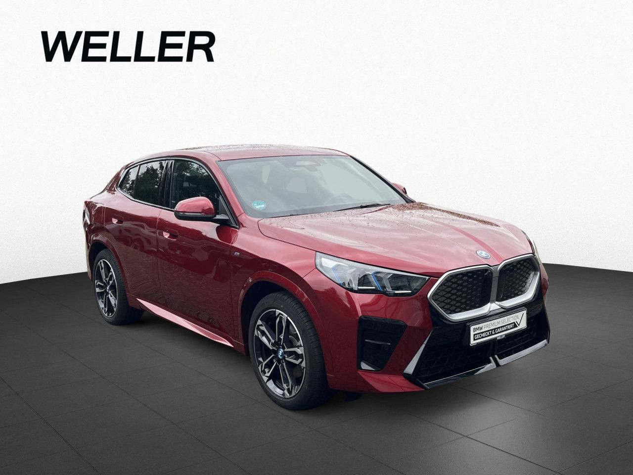BMW iX2 xDrive30 Sportpaket HUD Navi LED Klima PDC foto 3