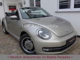 Volkswagen Beetle 1.2TSI Allstar Plus Xenon LED Kamera SHZ - Volkswagen Beetle aus 2016