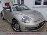 Volkswagen Beetle 1.2TSI Allstar Plus Xenon LED Kamera SHZ - VW Beetle gebraucht in Frankfurt