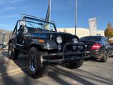 Jeep CJ orig. 4,9 V8 4x4 Tüv H-Kennzeichen - Jeep CJ Gebrauchtwagen