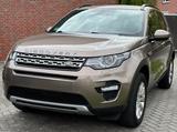 Land Rover Discovery Sport/PANO/ STHZ/7 SITZER - Land Rover Discovery Sport von privat