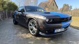 Dodge Challenger - Dodge Gebrauchtwagen von 2017