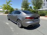 Jaguar XE P300 R-DYNAMIC HSE AWD Vollausstattung  - Jaguar: X300