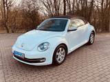 Volkswagen Beetle 1.2 TSI BMT ALLSTAR Cabriolet ALLSTAR - Volkswagen Beetle in Wuppertal