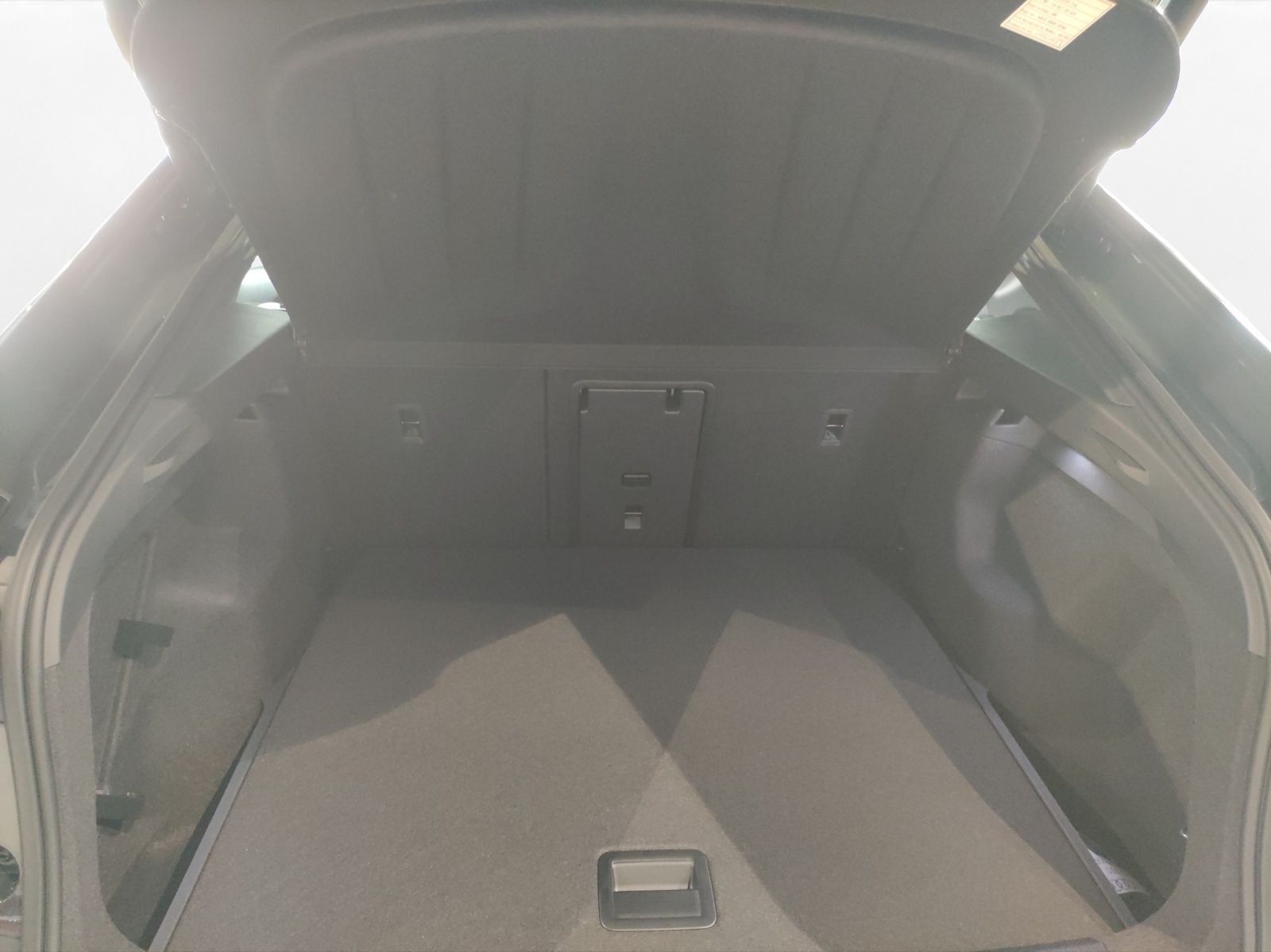 Cupra Tavascan - Bild 21
