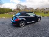 Volkswagen Beetle 1.2 TSI BMT Design Cabriolet Design - VW Beetle von privat