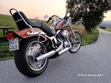 Harley-Davidson  FXSTC Softail Custom 105th Anniversary - Harley-Davidson FXST-F