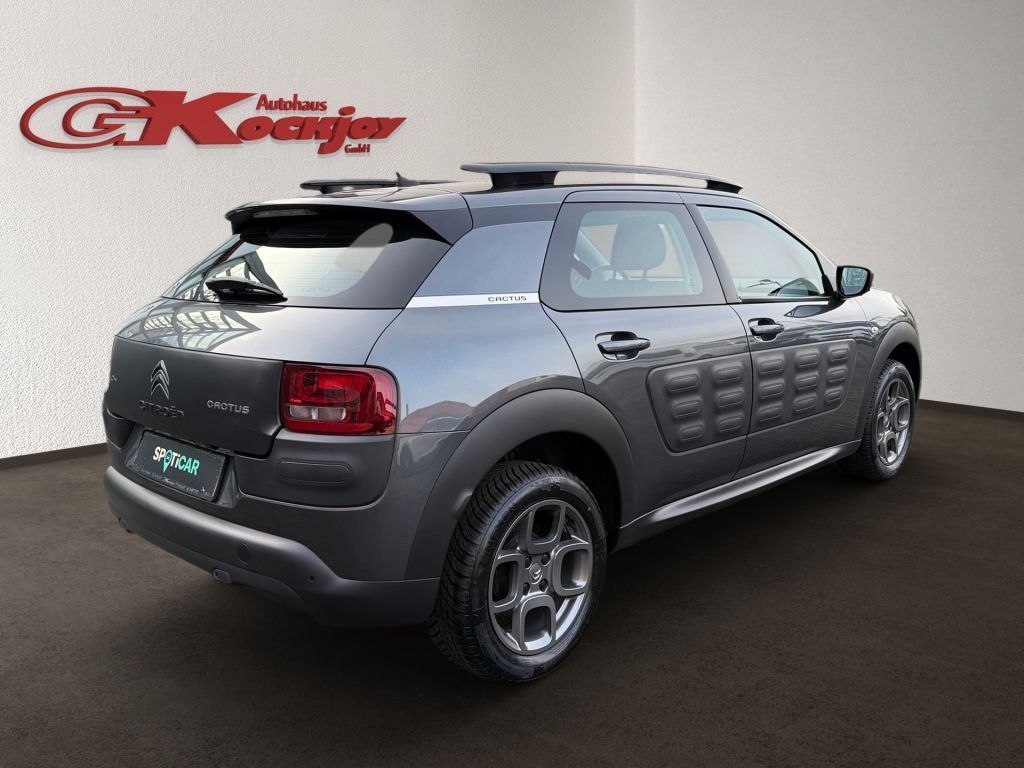 Fahrzeugabbildung Citroën C4 Cactus Selection PureTech 82 ETG