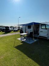 Renault Trafic  - Renault Trafic