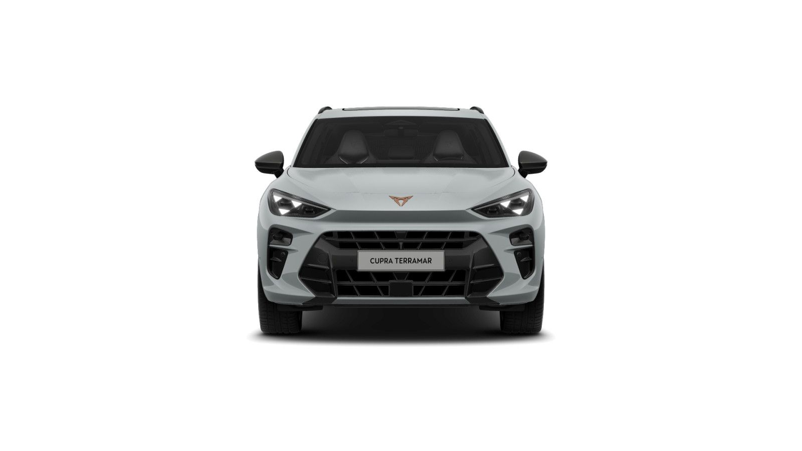 Cupra Terramar - Bild 2