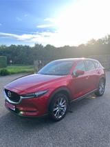 Mazda CX-5 2.5 SKYACTIV-G 194 Kangei AWD AT Kangei - Mazda CX-5 Gebrauchtwagen in Stuttgart