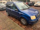 Fiat Panda - Fiat Panda in Bonn