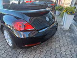 Volkswagen Beetle Cabriolet Design BMT/Start-Stopp - Volkswagen Beetle: Sitzheizung, Cabrio