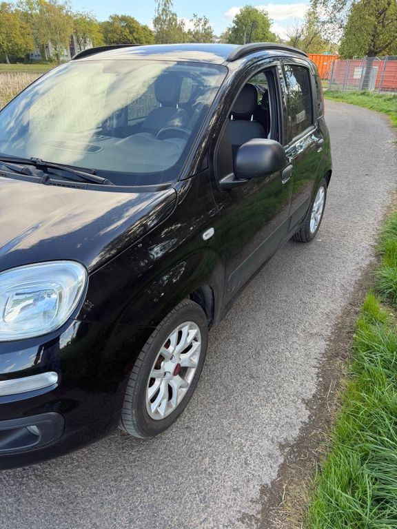 Image of Fiat Panda