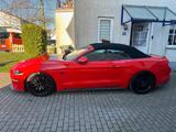 Ford Mustang*5.0*V8*GT *Convertible*Handschalter* - Ford Mustang in Leverkusen