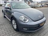 Volkswagen Beetle Lim. Design BMT*Garantie*NAVI*LEDER*PDC - Volkswagen Beetle: Automatik