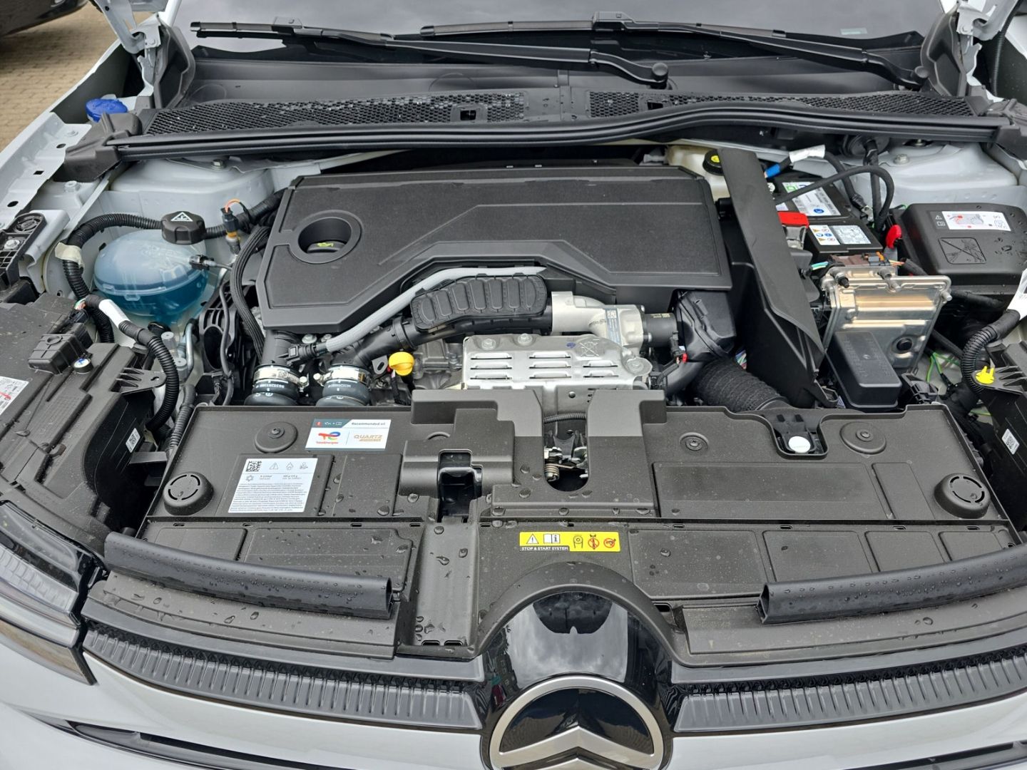 Citroën C4 - Bild 14