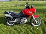 Suzuki XF 650 Freewind - SUZUKI FREEWIND