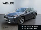 Lexus UX 300e Luxury Line *LED*360°*M Levinson*HUD*ACC - Lexus: L