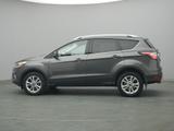 Ford Kuga Titanium 150PS Easy-Driver&Winter-Paket - Ford Kuga: Ps