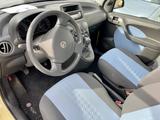Fiat Panda 25 KMH KM H*Klima*1.Hd*68.000KM*Lieferg* - Fiat Panda aus 2009