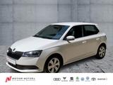 Skoda Fabia 1.0 AMBITION APP+DAB+BT+GRA+SHZ+2xPDC+MFL - Skoda Fabia mit Benzin-Antrieb: Kleinwagen, 2.0