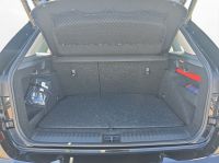Skoda Kamiq - Vorschau Bild 13
