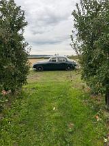 Jaguar MK2 3,8 Liter Overdrive - Jaguar MK II von privat