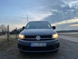 Volkswagen Zu verkaufen: Volkswagen Caddy Maxi  Bau... - Volkswagen Caddy Maxi: Privatanbieter