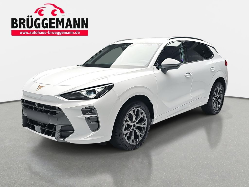 Image of Cupra Terramar