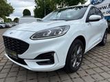 Ford Kuga 2.5 PHEV ST-Line X LED*ACC*HUD*B&O*4xSHZ*2x - Ford Kuga in Augsburg