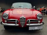 Alfa Romeo GIULIETTA SPIDER/TECHN. OPTISCH TOP/26J. LETRZTB - Alfa Romeo Giulietta: Cabrio