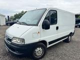 Fiat Ducato 11 Q 2.0 JTD 54.000 km - Fiat Ducato mit Diesel-Antrieb: 2.0