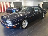 Jaguar XJS Cabrio CONVERTIBLE 6.0L V12 Tüv neu*H-Zulass - Jaguar XJS: 12 V