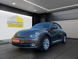 Volkswagen Käfer Beetle Cabriolet Design BMT Service-Neu - Volkswagen Käfer: Roadster