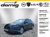 Skoda Octavia Combi DSG,LED,Kam,SHZ - Skoda Octavia aus 2024