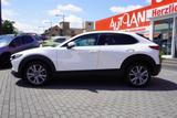 Mazda CX-30 2.0 M-Hybrid Selection LED Navi ACC Kamera - weiße Mazda CX-30