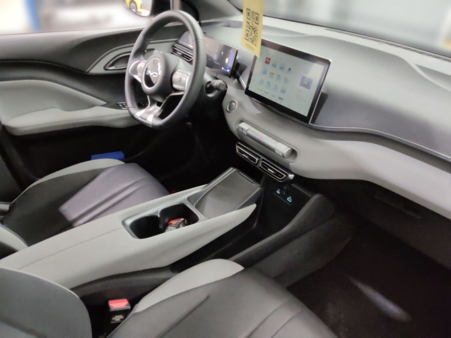BYD DOLPHIN SURF