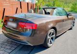 Audi A5 2.0 TDI 140kW quattro Cab. - - Audi A5: Braun, Leder