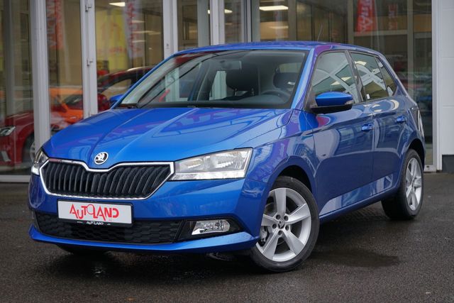 Skoda Fabia 1.0 MPI Cool & Sound Klima Sitzheizung PDC