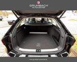 Volkswagen Passat Variant 1.5 eTSI DSG Business MY2025 A... - Volkswagen Passat Variant Tageszulassungen