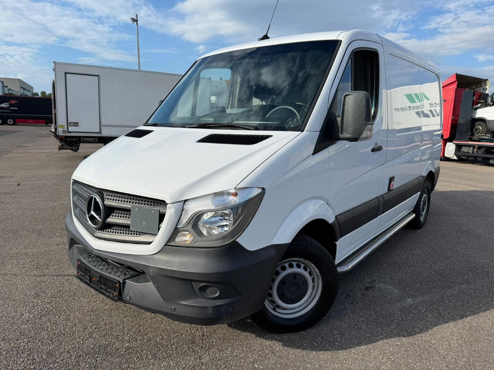 Mercedes-Benz Sprinter II 314 CDI*Carrier Pulsor 300*Kamera*